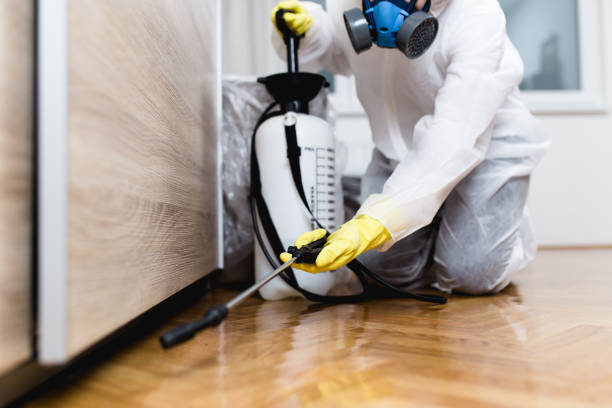 Best Affordable Pest Control Services  in Oviedo, FL