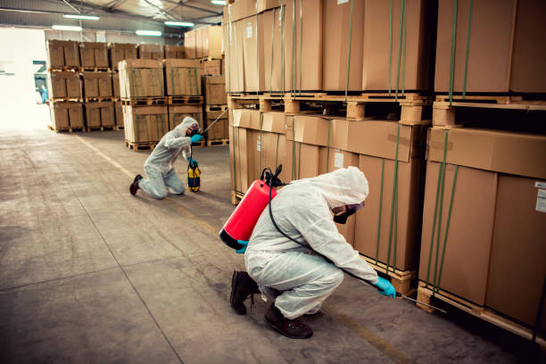 Wasp Removal Services in Oviedo, FL