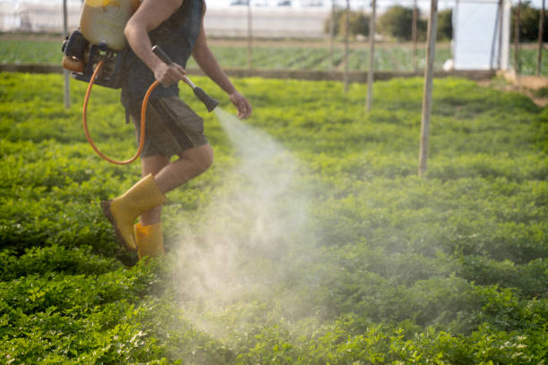 Pest Control Cost in Oviedo, FL