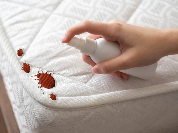 Best Pest Removal Services  in Oviedo, FL