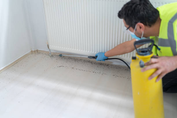 Best Mosquito Control Services  in Oviedo, FL